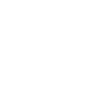 studio froge white logo