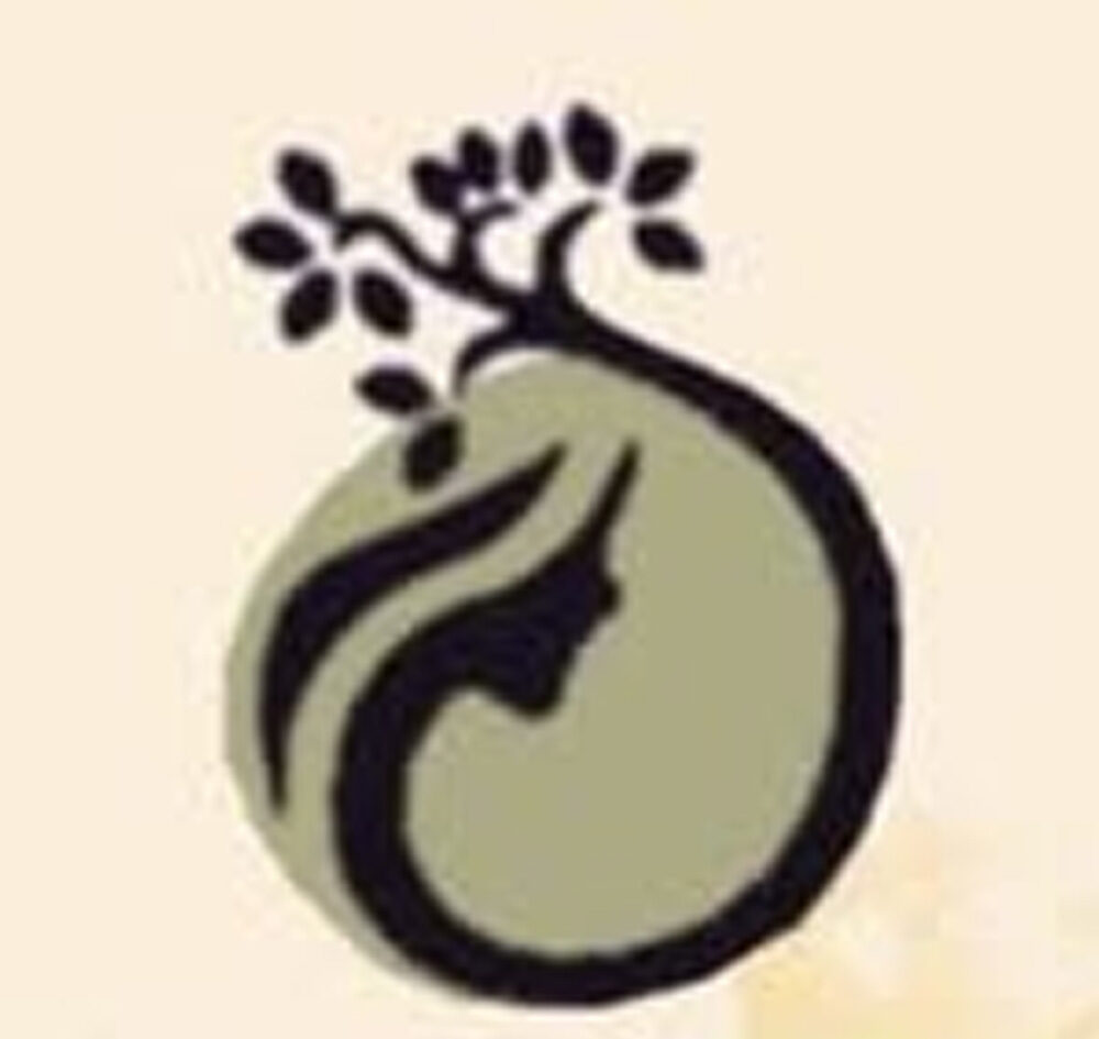 Defining the Growth Path-A Strategic Decision Making Case in Organic Cosmetics